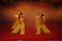 2007ӭӡͿ衷